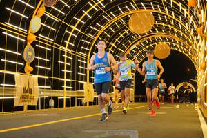 BIB: 
                            <button type="button" onclick="openModal(24119399)" class="btn btn-primary btn-sm float-right btn-popup" data-toggle="modal" data-target=".modal-high-quality">
                        <i class="fas fa-shopping-cart"></i> Add to Cart
                    </button>
                                            <button type="button" onclick="isThisMe(24119399, true)" class="btn btn-success btn-sm float-right btn-popup btn-isme hidden" data-toggle="tooltip" data-placement="bottom" title="นี่คือรูปของคุณใช่ไหม คลิกที่นี่เพื่อเอาเข้าอัลบั้ม">
                        <i class="fas fa-plus"></i> Add to album
                    </button>
                    <button type="button" onclick="isThisMe(24119399, false)" class="btn btn-warning btn-sm float-right btn-popup btn-isnotme hidden">
                        <i class="fas fa-ban"></i> Remove from album
                    </button>